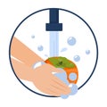 Hand washing persimmon vector isolated. Wash fruits