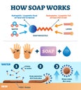 Hand washing with soap vector illustration. Educational explanation scheme.