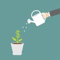 Hand watering can dollar plant in the pot. Financial growth concept. Royalty Free Stock Photo