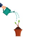 Hand watering can plant. Floral leaf sprout under watering watering can. Agriculture equipment or horticulture concept. Gardenman