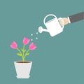 Hand watering can tulip flower in the pot Flat design Royalty Free Stock Photo