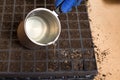 Watering seedlings in plastic trays. Growwing seedlings og tomatoes