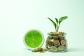 coins in glass jar with young plant on top isolated background for saving,finance,business concept. Royalty Free Stock Photo