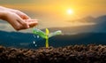 Hand Watering plants tree mountain green Background Female hand holding tree on nature field grass Forest conservation concept Royalty Free Stock Photo