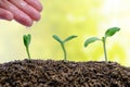 Hand watering sprout growing from soil on blurred natural background Royalty Free Stock Photo