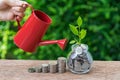 Hand watering stack of coins and growth sprout plant as busines