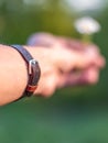 Hand wearing brown leather bracelet giving a daisy Royalty Free Stock Photo