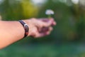 Hand wearing brown leather bracelet giving a daisy Royalty Free Stock Photo