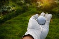 Hand-wearing golf glove holding a white golf ball on green background Large copy-space for title and text Royalty Free Stock Photo