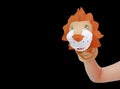 Hand wearing Lion puppets isolated on black background, Lion head Royalty Free Stock Photo