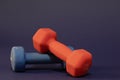 Hand weights, red and blue, each of Five pounds, close-up and isolated on dark blue background Royalty Free Stock Photo