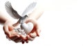 Hand and white dove Royalty Free Stock Photo