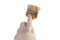 Hand in white glove holds a brush. Isolated closeup on white background. Concept of painting decoration, home improvement or Royalty Free Stock Photo