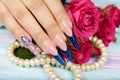 Hand wiith long artificial french manicured nails and pink rose flowers