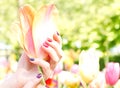 Hand of a woman with colorful nailpolish holding a tulip. Royalty Free Stock Photo