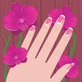 Hand of a woman with French manicure on a tree and pink orchid