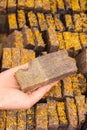 Hand of woman with handmade cinnamon soap on stall Royalty Free Stock Photo