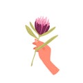 Hand of woman holding elegant aster pink flower, girls arm with one fresh gentle plant