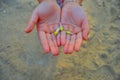 the hand of a woman holding flowers with both hands Royalty Free Stock Photo