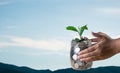 hand of woman holding a jar with coins and plant growing Royalty Free Stock Photo