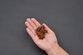 Hand of a woman holding a pile of anise isolated on black background. Spice. Taste. Cooking. Food and beverage flavoring