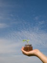 Hand of a woman holding plant