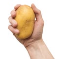 Hand of a woman holding a potato isolated