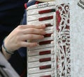 Hand of a woman plays the ancient accordion keyboard Royalty Free Stock Photo