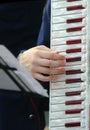 Hand of a woman plays the ancient accordion Royalty Free Stock Photo