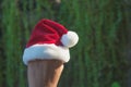 Hand of woman with Santa Claus red hat in Christmas day Royalty Free Stock Photo