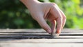 Hand of woman is shorting coins over nature green leaf shallow depth of field