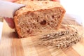 Hand of woman slicing fresh bread, ears of wheat Royalty Free Stock Photo