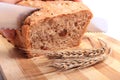 Hand of woman slicing fresh bread, ears of wheat Royalty Free Stock Photo