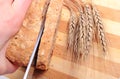 Hand of woman slicing fresh bread, ears of wheat Royalty Free Stock Photo