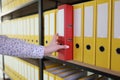 Hand of woman taking red ring binder among yellow in row Royalty Free Stock Photo