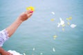 Hand of woman throwing yellow and white flower petals into the river blurred background Royalty Free Stock Photo