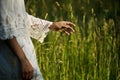 Hand of woman touches tall grass. Royalty Free Stock Photo
