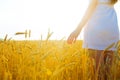 Hand of woman touching a golden wheat ear in field. Sunset light. Blurred image Royalty Free Stock Photo