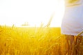 Hand of woman touching a golden wheat ear in the field. Sunset light. Blurred image Royalty Free Stock Photo