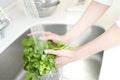 Hand of woman washing vegetable Royalty Free Stock Photo