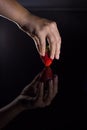 The hand of a woman who takes a strawberry and its reflection with black background Royalty Free Stock Photo