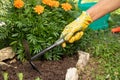 Hand Of Women Loosen With Hoe Ground In Flower Bed.