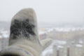 Hand in Woolen Glove Royalty Free Stock Photo