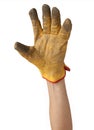 Hand Work Glove isolated Royalty Free Stock Photo