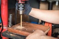 Hand of worker man holding Electric drilling machine on wooden with Drill Press machine . selective focus Royalty Free Stock Photo