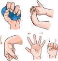 Hand And Wrist Strengthening Exercises vector illustration