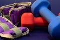 Hand and wrist weights, purple, red and blue, each of Five pounds, close-up and isolated Royalty Free Stock Photo