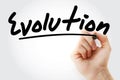 Hand writing Evolution with marker Royalty Free Stock Photo
