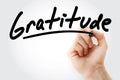 Hand writing Gratitude with marker