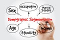 Demographic segmentation mind map flowchart social business concept for presentations and reports